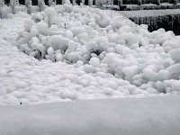 photos 2000-200902218